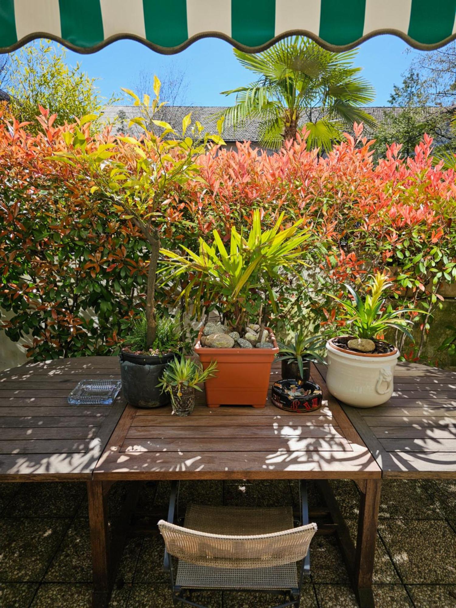 Victoria Royal Garden Apart-hotel 3*